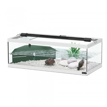 Tortue blanche tortue avec filtre interne - Aquatlantis