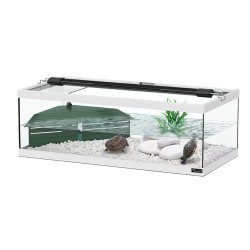 Tortue blanche tortue avec filtre interne - Aquatlantis