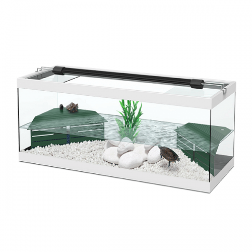 TORTUM White Turtle with Indoor Filter - Aquatlantis
