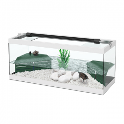 TORTUM White Turtle with Indoor Filter - Aquatlantis