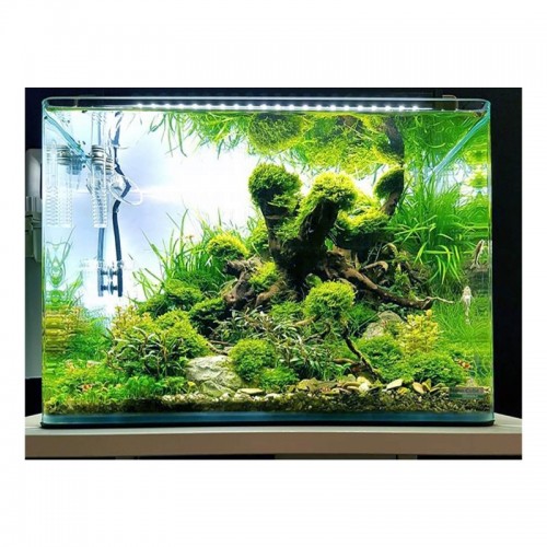 Nano Scapers Tank NOUVEAU Dennerle