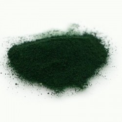 Poudre de spiruline, poudre d'algues pour invertébrés et frites - fleuve aqua