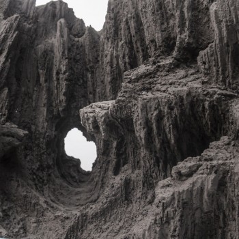 Decorazione in resina per Paludario Swamp 50 - Aqpet 2