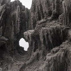 Resin decoration for Swamp 50 Paludario - Aqpet