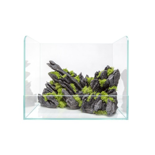 Resin decoration for Swamp 40 Paludario - Aqpet