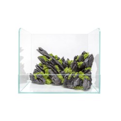 Resin decoration for Swamp 40 Paludario - Aqpet