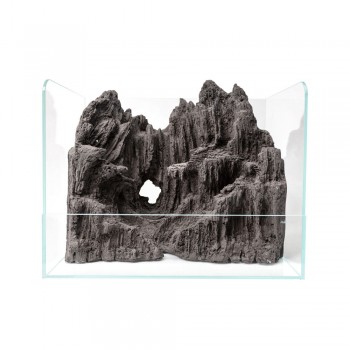 Paludario in vetro extrachiaro 50 con decorazione inclusa...