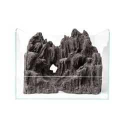 Extra-clear glass stall 50 with decoration included - AQPET Swamp