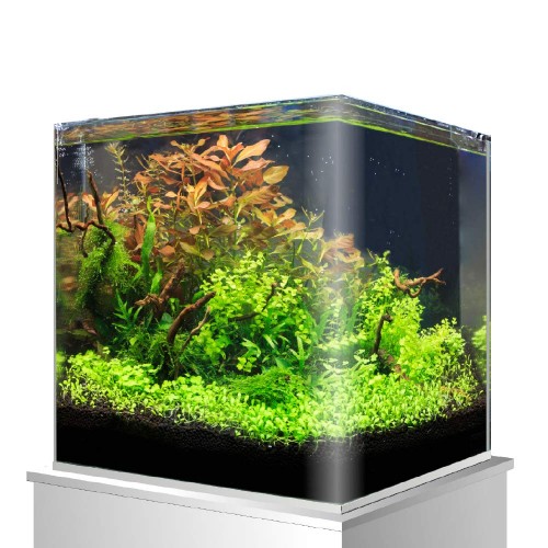 Nanotank 90 avec couvercle, verre extra-clair -...