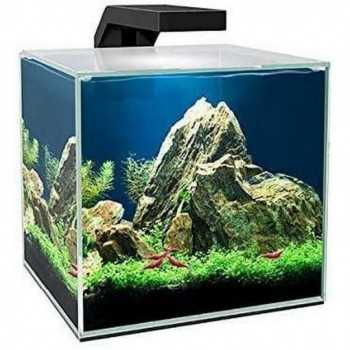 Cyan cube 10 | 15, aquarium bathtub - Askoll