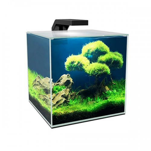 Ciano Cube 5|10|15 - tank for aquarium - Askoll