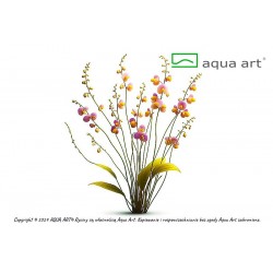 Utricularia Longifolia en coupe - Aqua Art Plante carnivore de terrarium