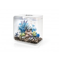 BIORB Flow 30 LED - Oase