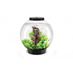 BIORB CLASSIC 30 MCR - Oase