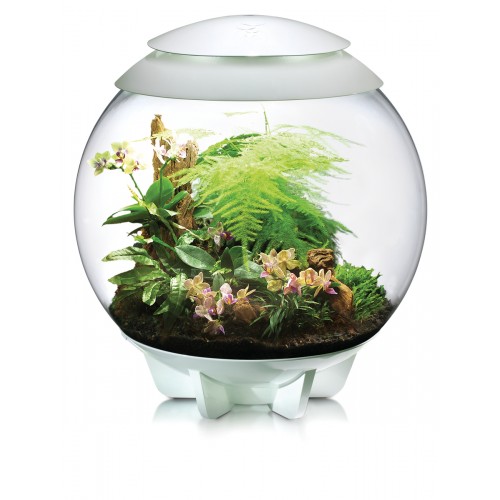 biOrb AIR 60 terrario - Oase