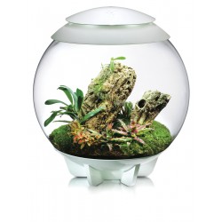 biOrb AIR 60 terrario - Oase