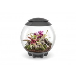 Composed in coconut fibers for BIORB AIR 60 TERRARIO - Oase