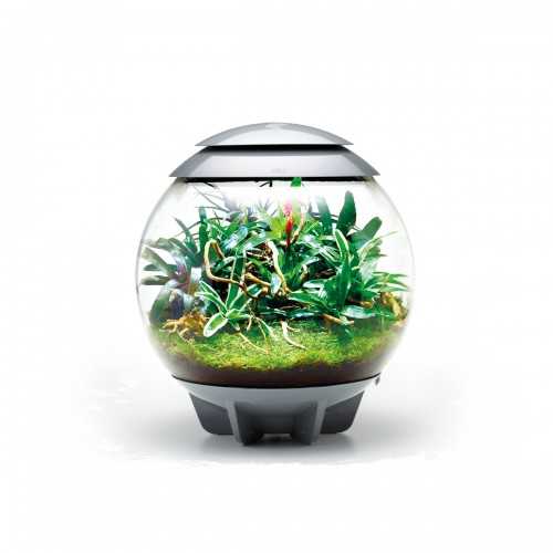 Composed in coconut fibers for BIORB AIR 60...