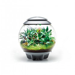 Composed in coconut fibers for BIORB AIR 60 TERRARIO - Oase