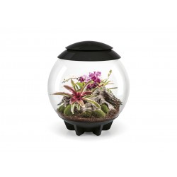 Composed in coconut fibers for BIORB AIR 60 TERRARIO - Oase