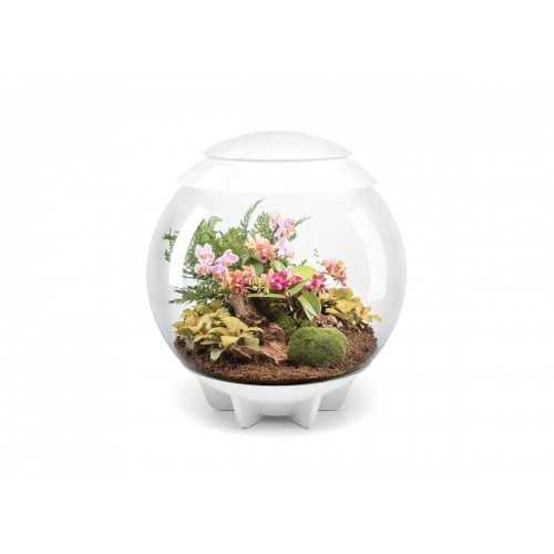 Composed in coconut fibers for BIORB AIR 60...
