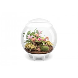 Composed in coconut fibers for BIORB AIR 60 TERRARIO - Oase
