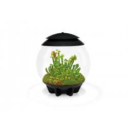 Composed in coconut fibers for BIORB AIR 30 Terrarium - Oase
