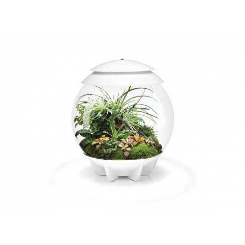 Composed in coconut fibers for BIORB AIR 30...
