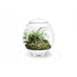 Composed in coconut fibers for BIORB AIR 30 Terrarium - Oase