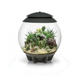 Composed in coconut fibers for BIORB AIR 30 Terrarium - Oase