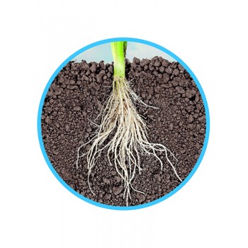 Askoll Fonds fertile de fond naturel 2