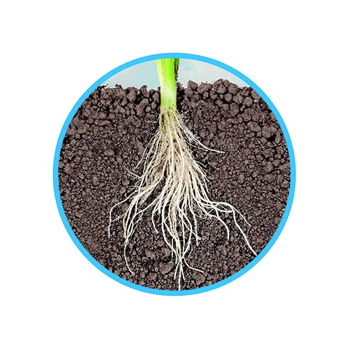 Askoll Natural Bottom fertile bottom