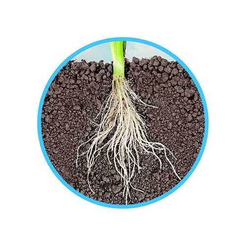 Askoll Natural Bottom Fertile Fund