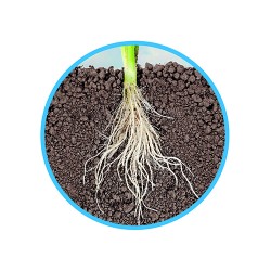 Askoll Fonds fertile de fond naturel