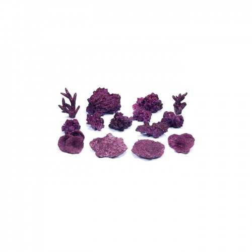 Mini reef box of synthetic rocks lives - Real...