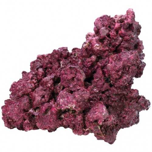 Mini reef box of synthetic rocks lives - Real...