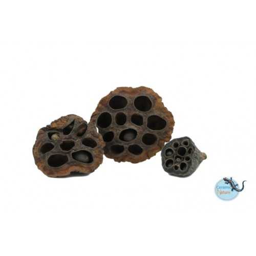Lotus pods (3 pieces) - Ceramic Nature