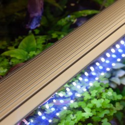 Easy LED Universal RGBW Ultra with Smart Control Ori - Aquatlantis