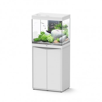 Splendide Aquatlantis - blanc