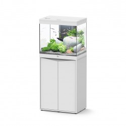 copy of Splendid Aquatlantis