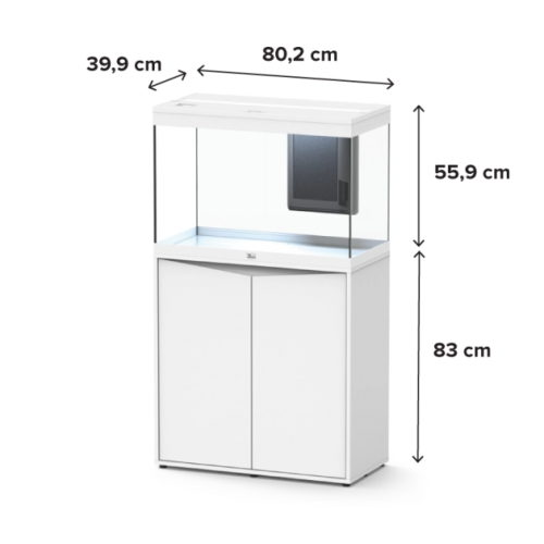 copy of Splendid Aquatlantis