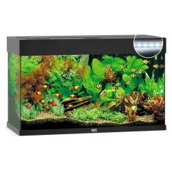 Acquario Rio 125 LED - Juwel