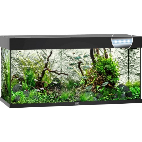 Acquario Rio 180 LED - Juwel