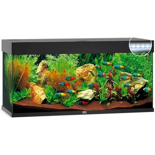Aquarium Rio 240 LED - Juwel