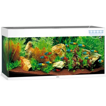 Aquarium Rio 240 LED - Juwel