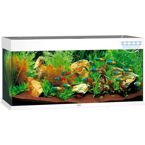 Aquarium Rio 240 LED - Juwel