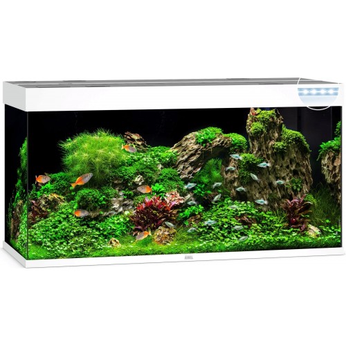 Aquarium Rio 350 - Juwel