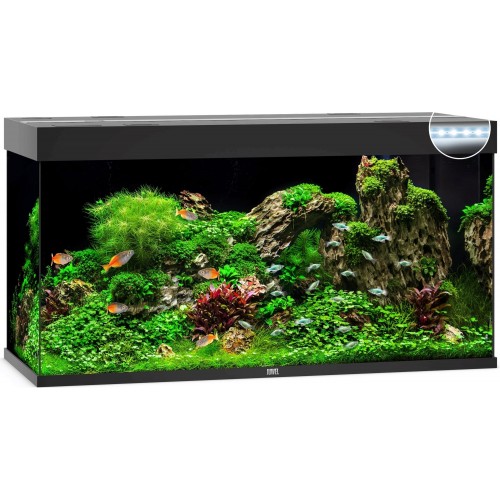 Aquarium Rio 350 - Juwel