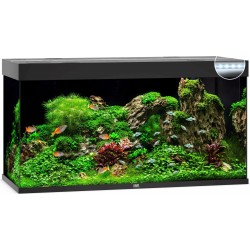 Acquario Rio 350 - Juwel