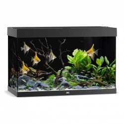 Aquarium RIO 290 - Juwel